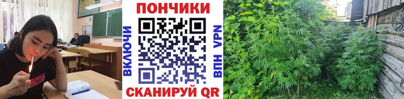 Купить наркотик Уссурийск Бошки Шишки A PVP LSD-25 COCAIN ГАШ