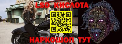 a pvp Новодвинск