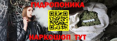 a pvp Новодвинск