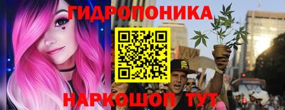 a pvp Новодвинск
